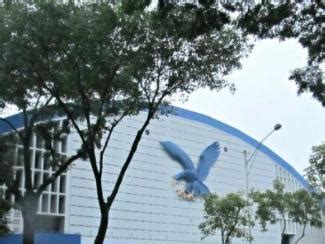 admu scandal|Ateneo students protest against professors' alleged sexual .